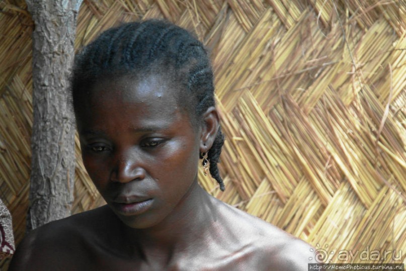 Второе знакомство с довайо. Анимисты