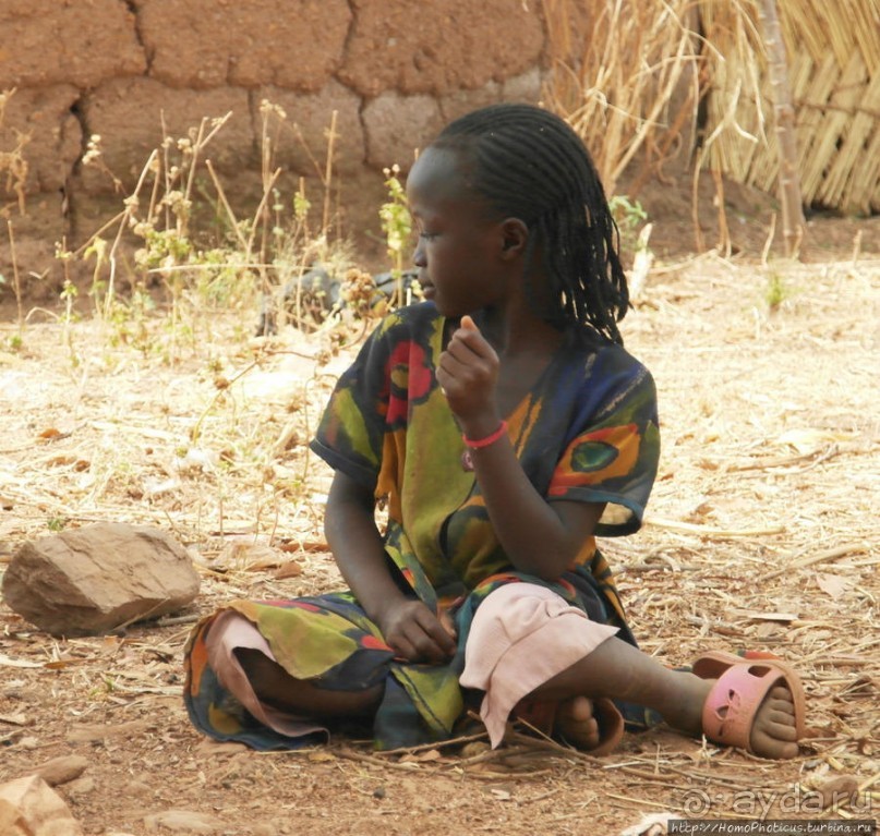 Второе знакомство с довайо. Анимисты