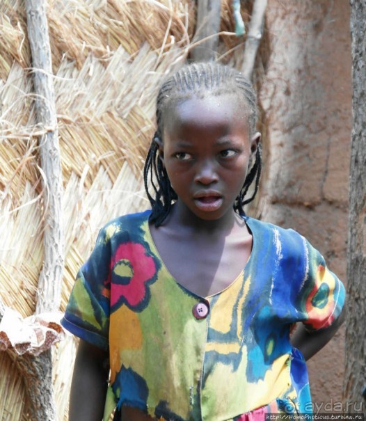 Второе знакомство с довайо. Анимисты