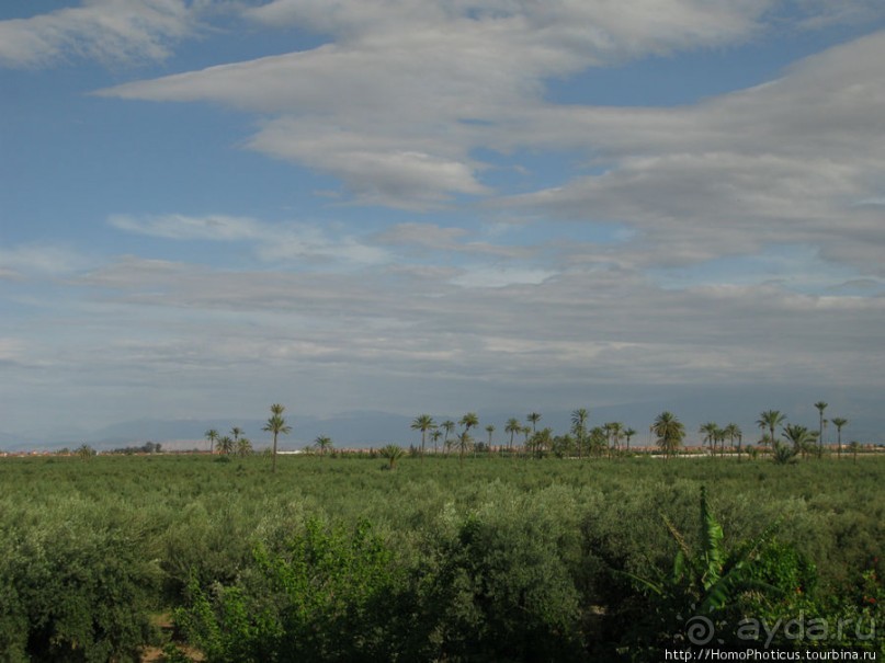 Красный город