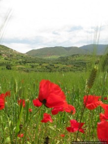 Красный город