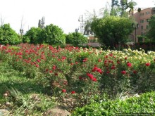 Красный город