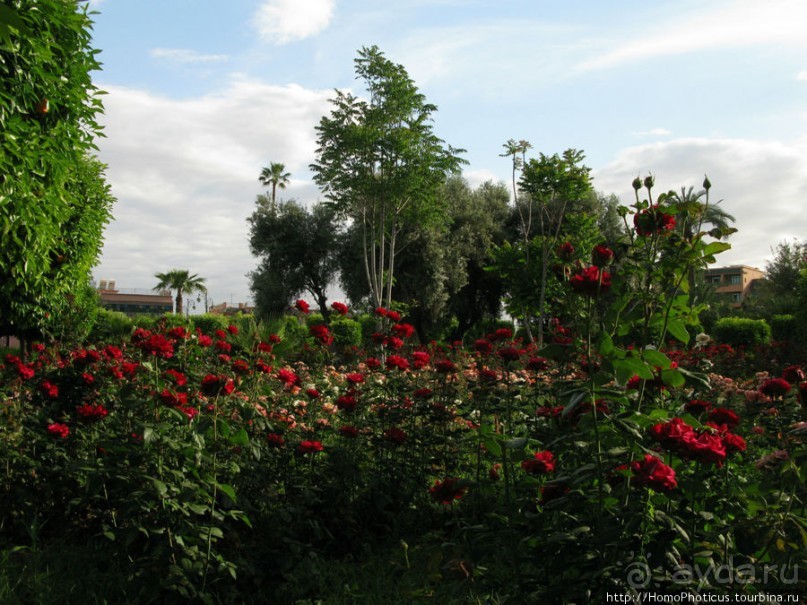 Красный город