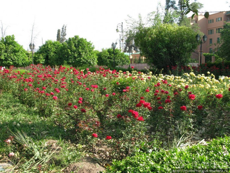 Красный город