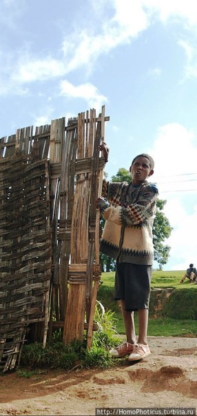 Этнография Эфиопии: типажи дорзе