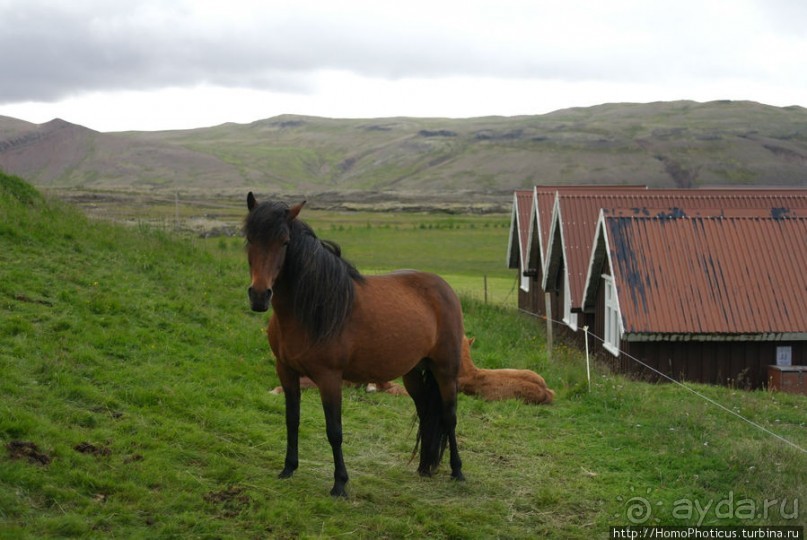 Лавовые водопады и пещеры белой речки