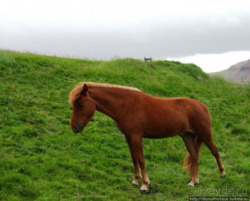 Лавовые водопады и пещеры белой речки