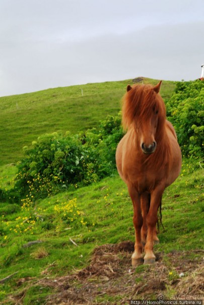 Лавовые водопады и пещеры белой речки