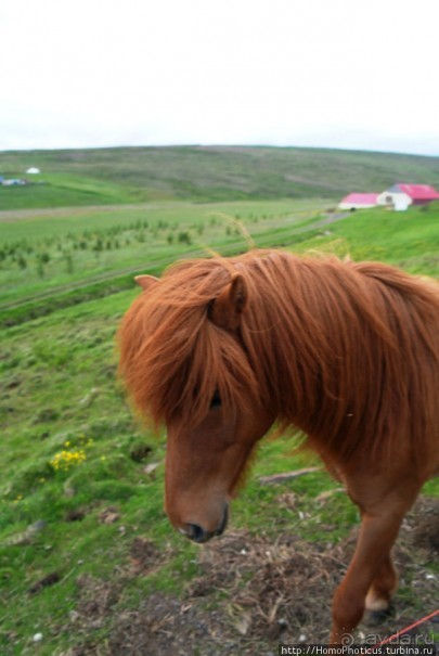 Лавовые водопады и пещеры белой речки