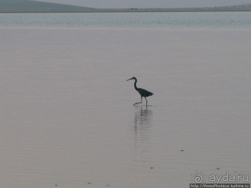 Белые пляжи и советские танки