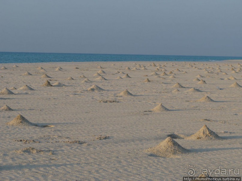 Белые пляжи и советские танки