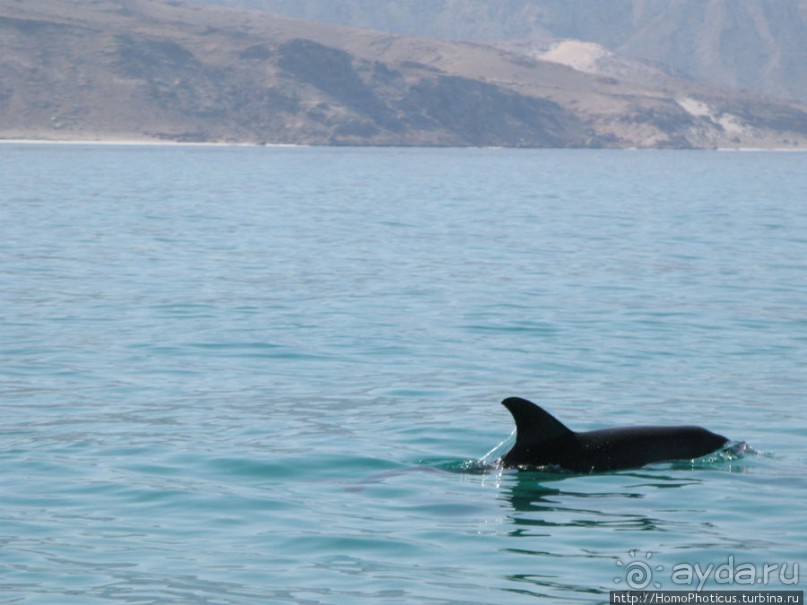 Белые пляжи и советские танки