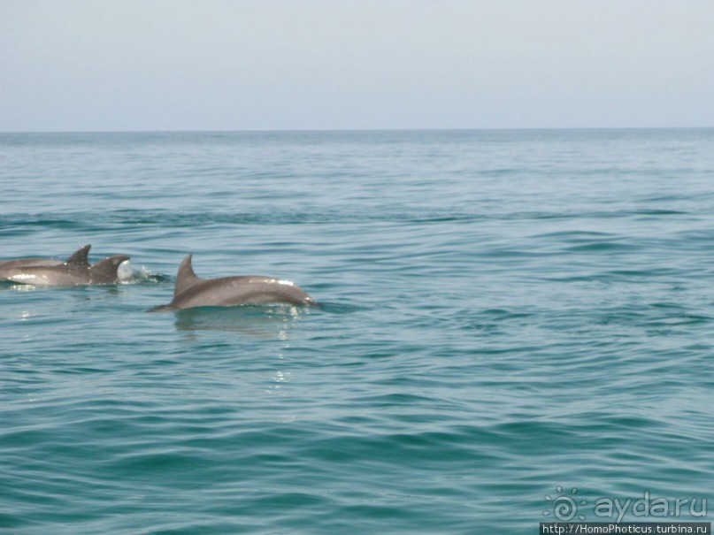 Белые пляжи и советские танки