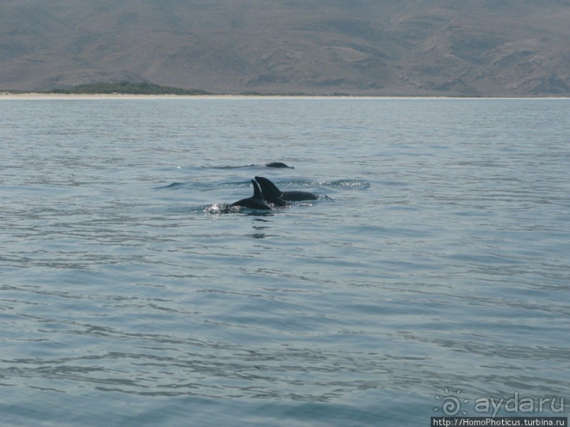 Белые пляжи и советские танки