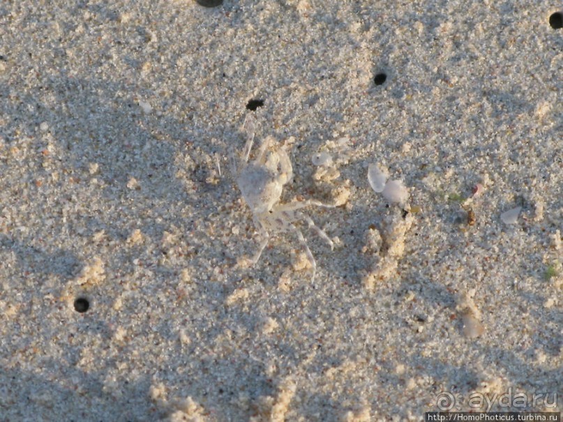 Белые пляжи и советские танки