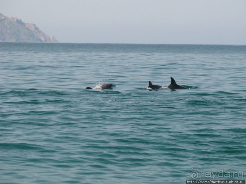 Белые пляжи и советские танки