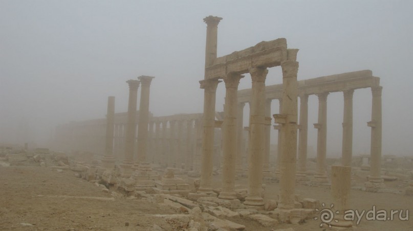 Из несуществующего. Три облика Пальмиры