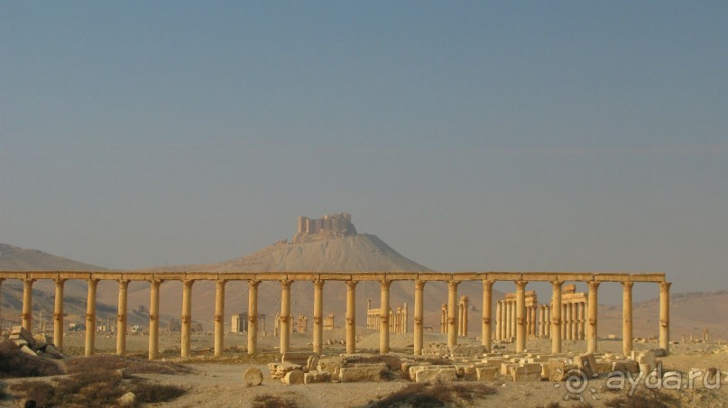 Из несуществующего. Три облика Пальмиры