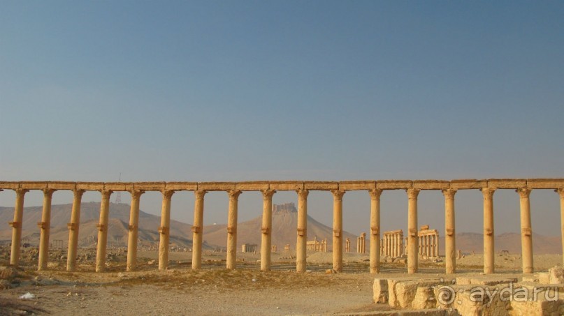 Из несуществующего. Три облика Пальмиры