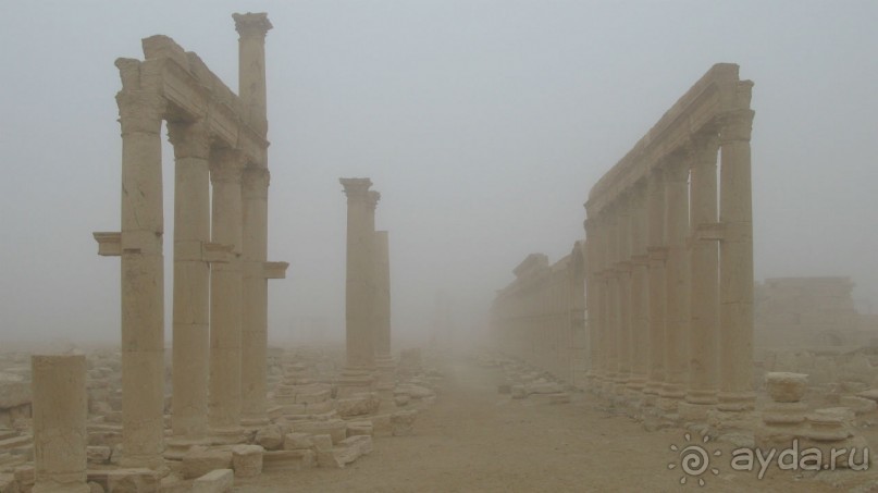 Из несуществующего. Три облика Пальмиры