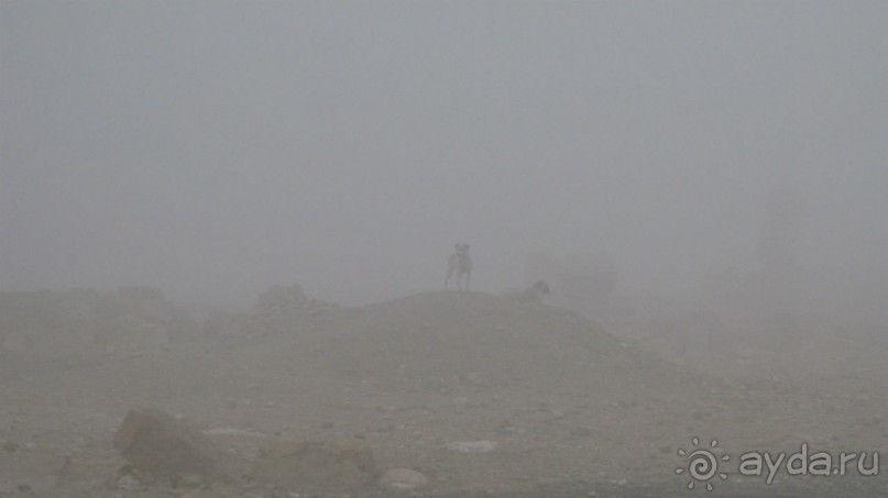 Из несуществующего. Три облика Пальмиры