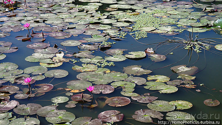 Сокровища Мьянмы. V. Бирюза Индийского океана, золото Янгона
