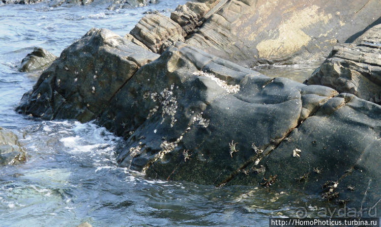 Сокровища Мьянмы. V. Бирюза Индийского океана, золото Янгона