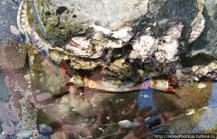 Сокровища Мьянмы. V. Бирюза Индийского океана, золото Янгона