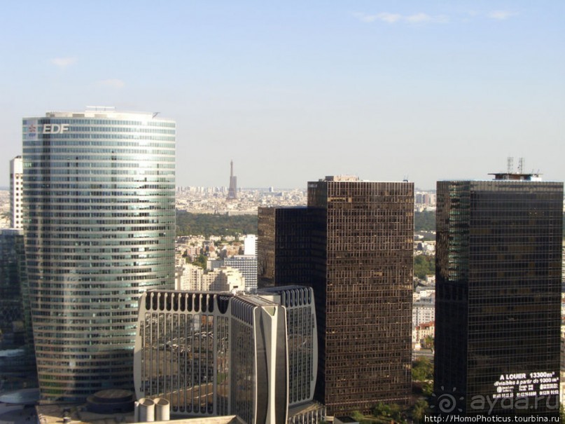 С высоты птичьего полета