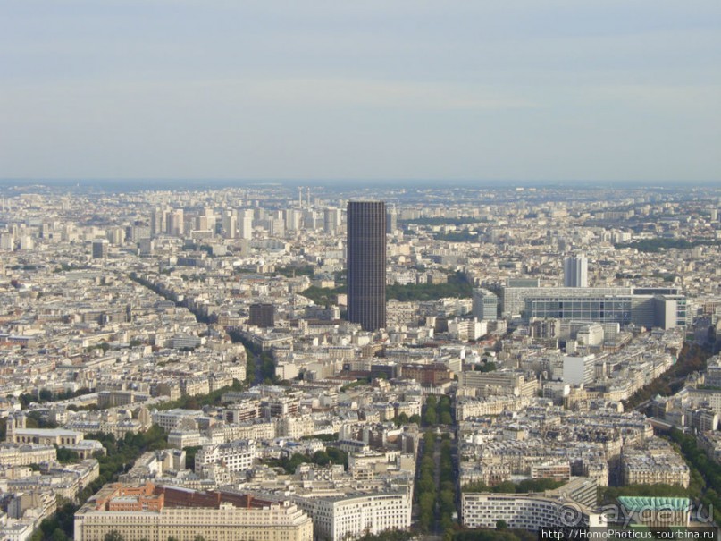 С высоты птичьего полета