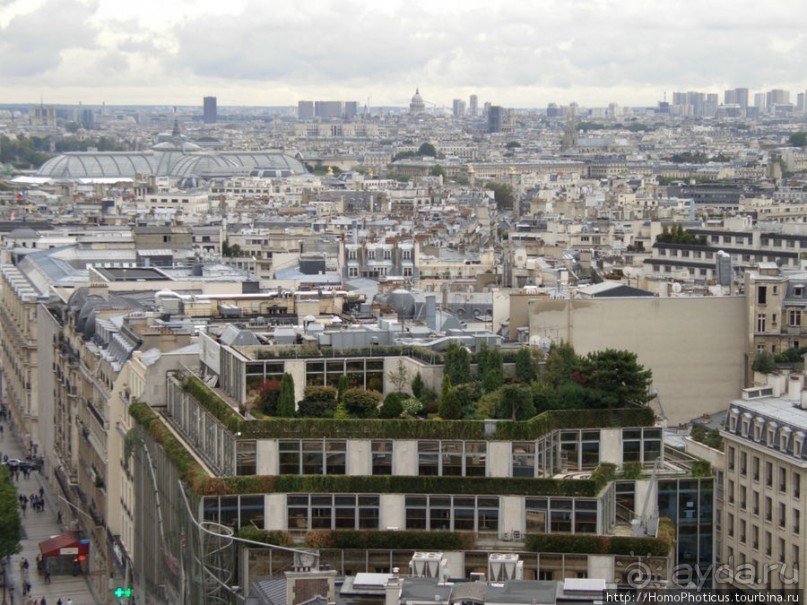 С высоты птичьего полета