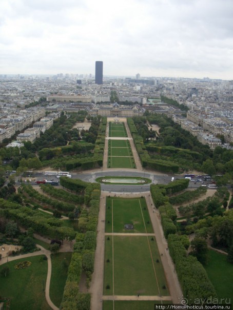 С высоты птичьего полета