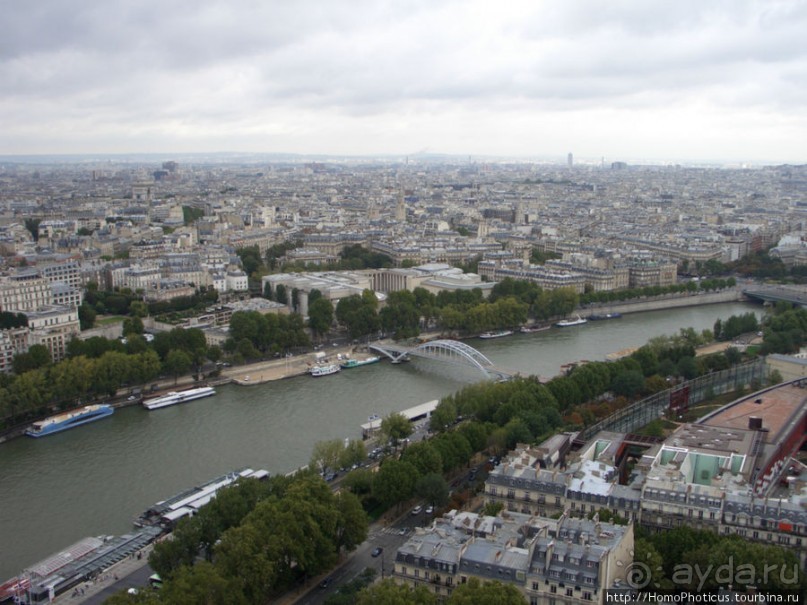 С высоты птичьего полета