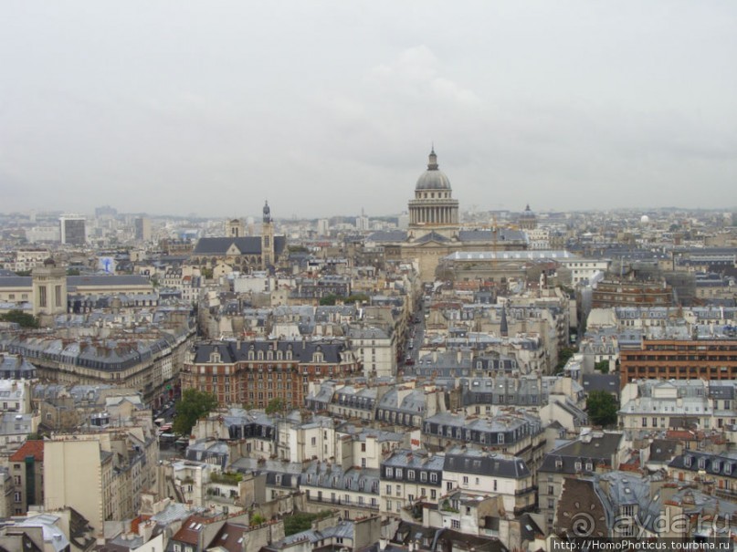 С высоты птичьего полета