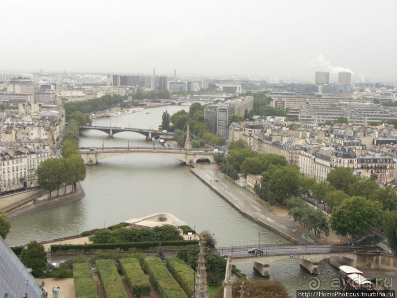 С высоты птичьего полета