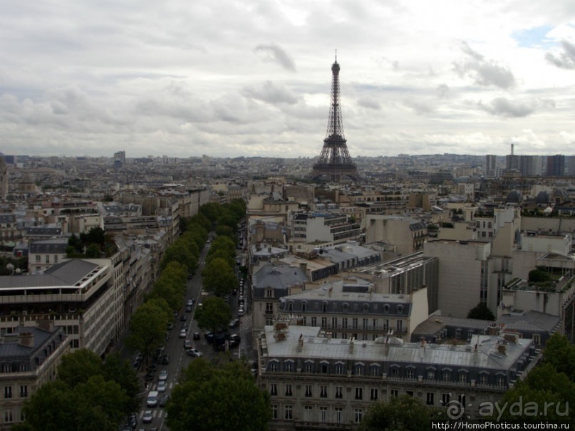 С высоты птичьего полета