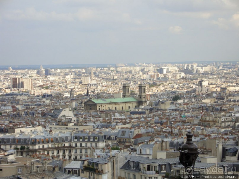 С высоты птичьего полета