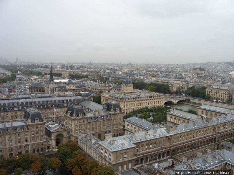 С высоты птичьего полета