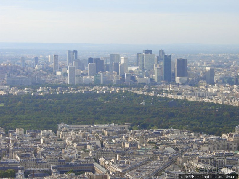 С высоты птичьего полета