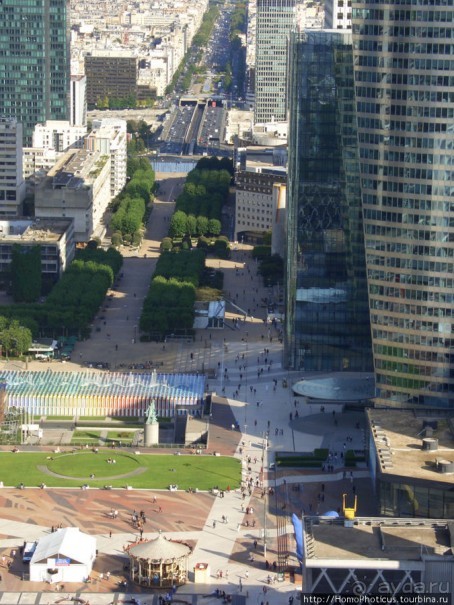 С высоты птичьего полета