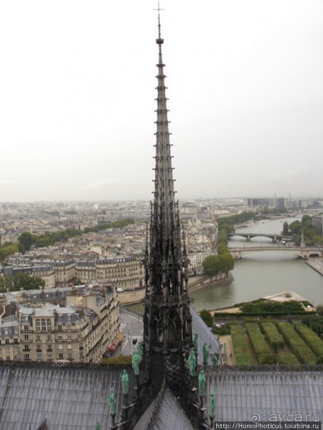 С высоты птичьего полета