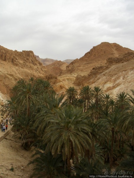 Соль и песок