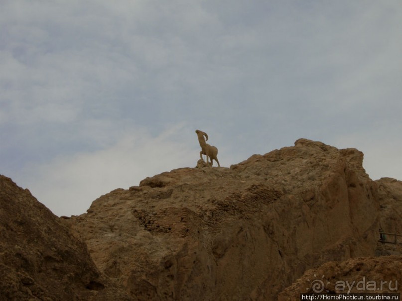 Соль и песок