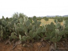 Соль и песок