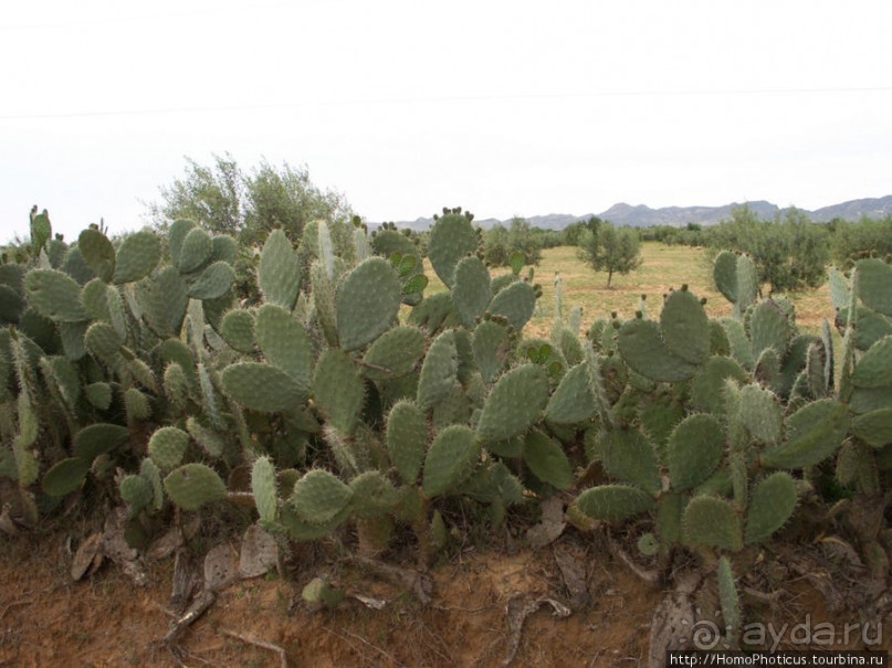 Соль и песок