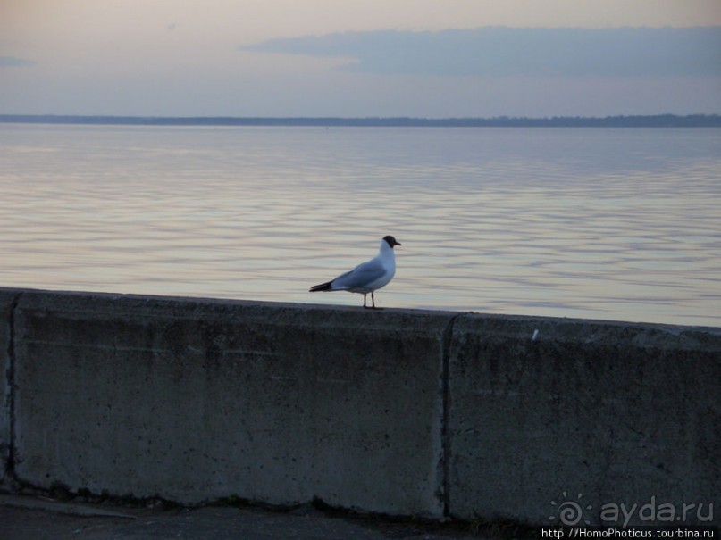 Селигерские закаты