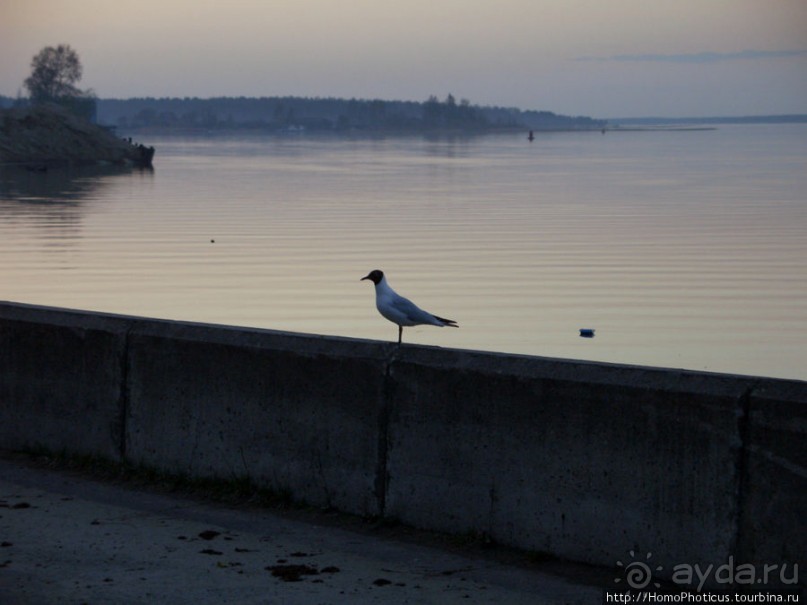 Селигерские закаты