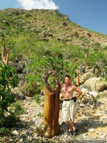Сокотрийцы: типажи, эндемики, уродцы