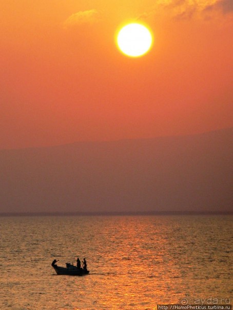 Сокотрийцы: типажи, эндемики, уродцы