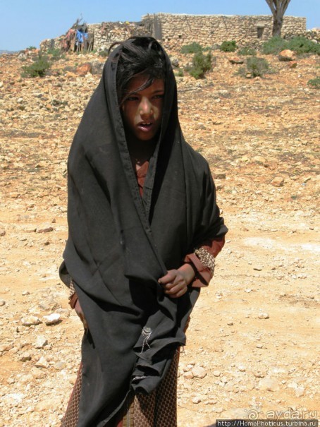 Сокотрийцы: типажи, эндемики, уродцы